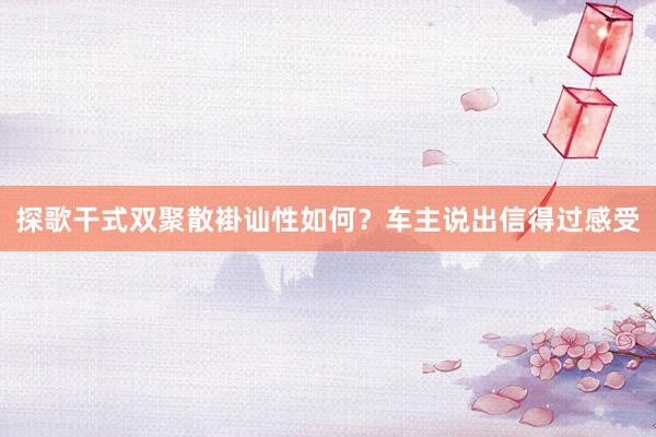 探歌干式双聚散褂讪性如何？车主说出信得过感受