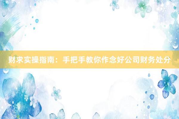 财求实操指南：手把手教你作念好公司财务处分