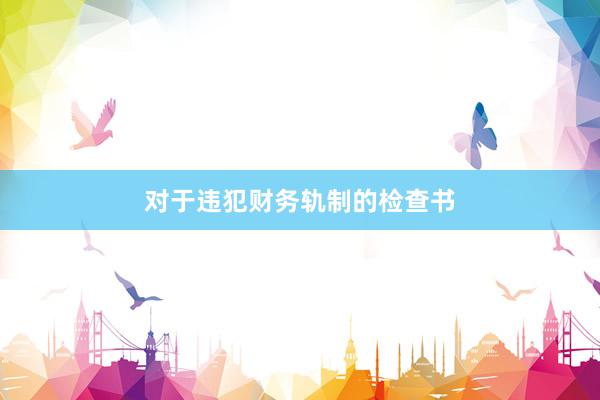 对于违犯财务轨制的检查书
