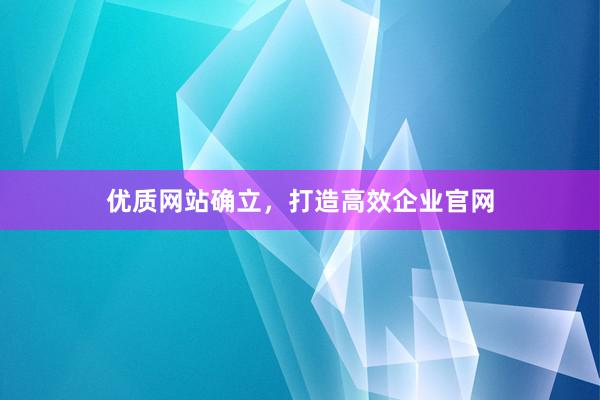 优质网站确立，打造高效企业官网