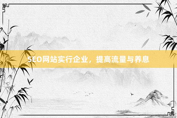 SEO网站实行企业，提高流量与养息